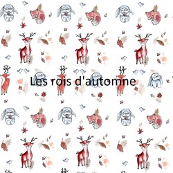 Coussin de naissance personnalisé - Les trésors de Clémence