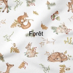 Protège carnet de santé personnalisée - la reine de la forêt