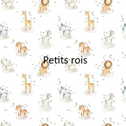 Protège carnet de santé personnalisée - la reine de la forêt