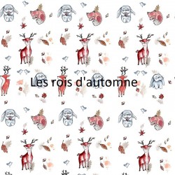 Coussin de naissance personnalisable - Les trésors de Clémence