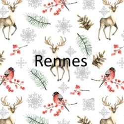 Nœud Noël personnalisé - Les trésors de Clémence