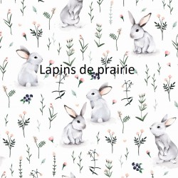 Lapins de prairie
