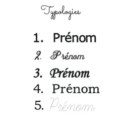 typologies